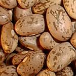 image_beans_pinto_beans